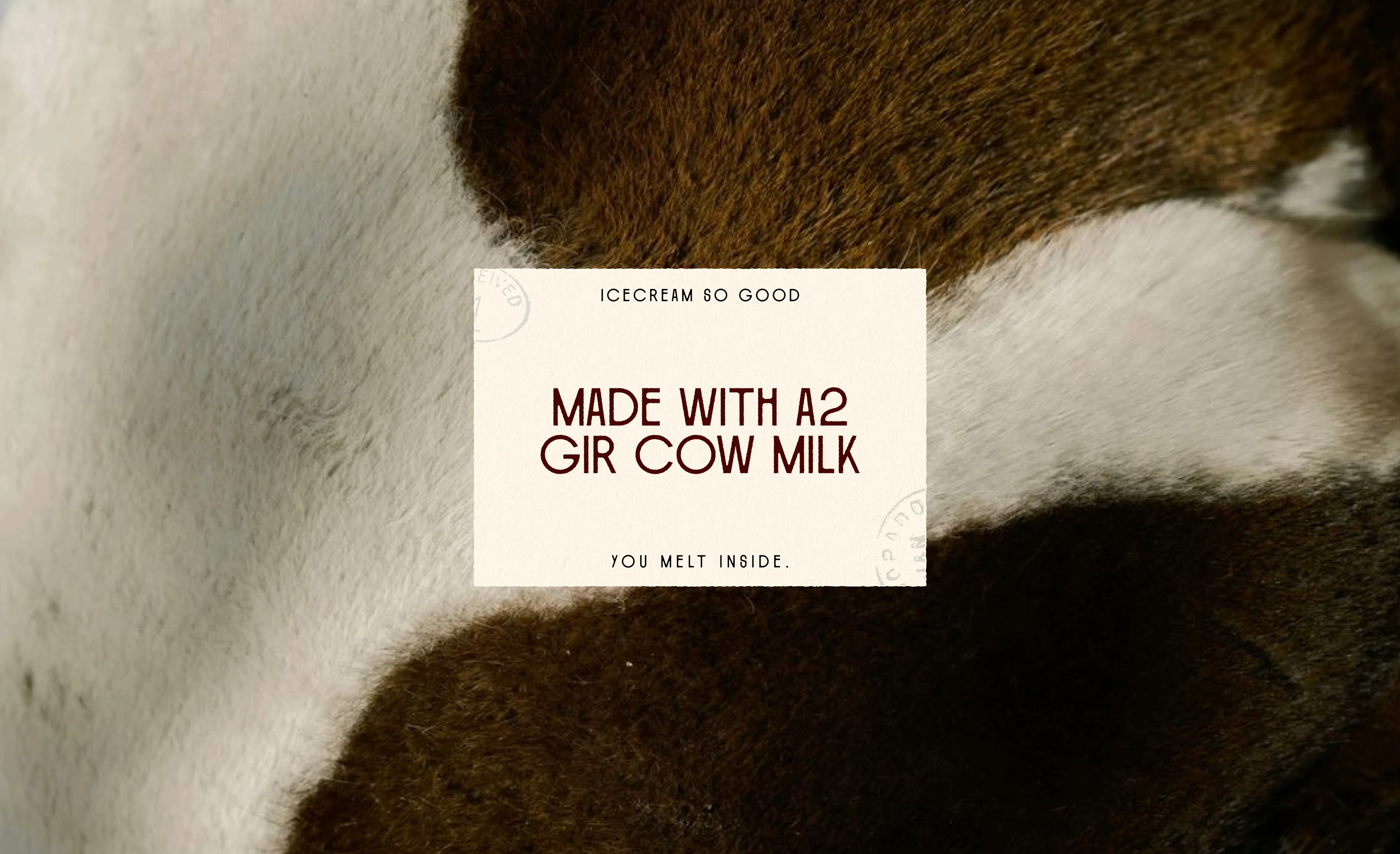 Icecream so good — made with A2 Gir cow milk
