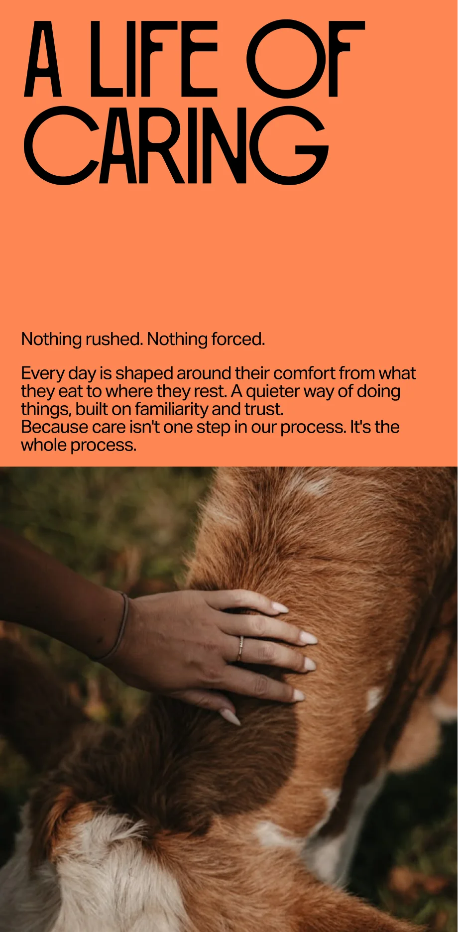 A life of caring