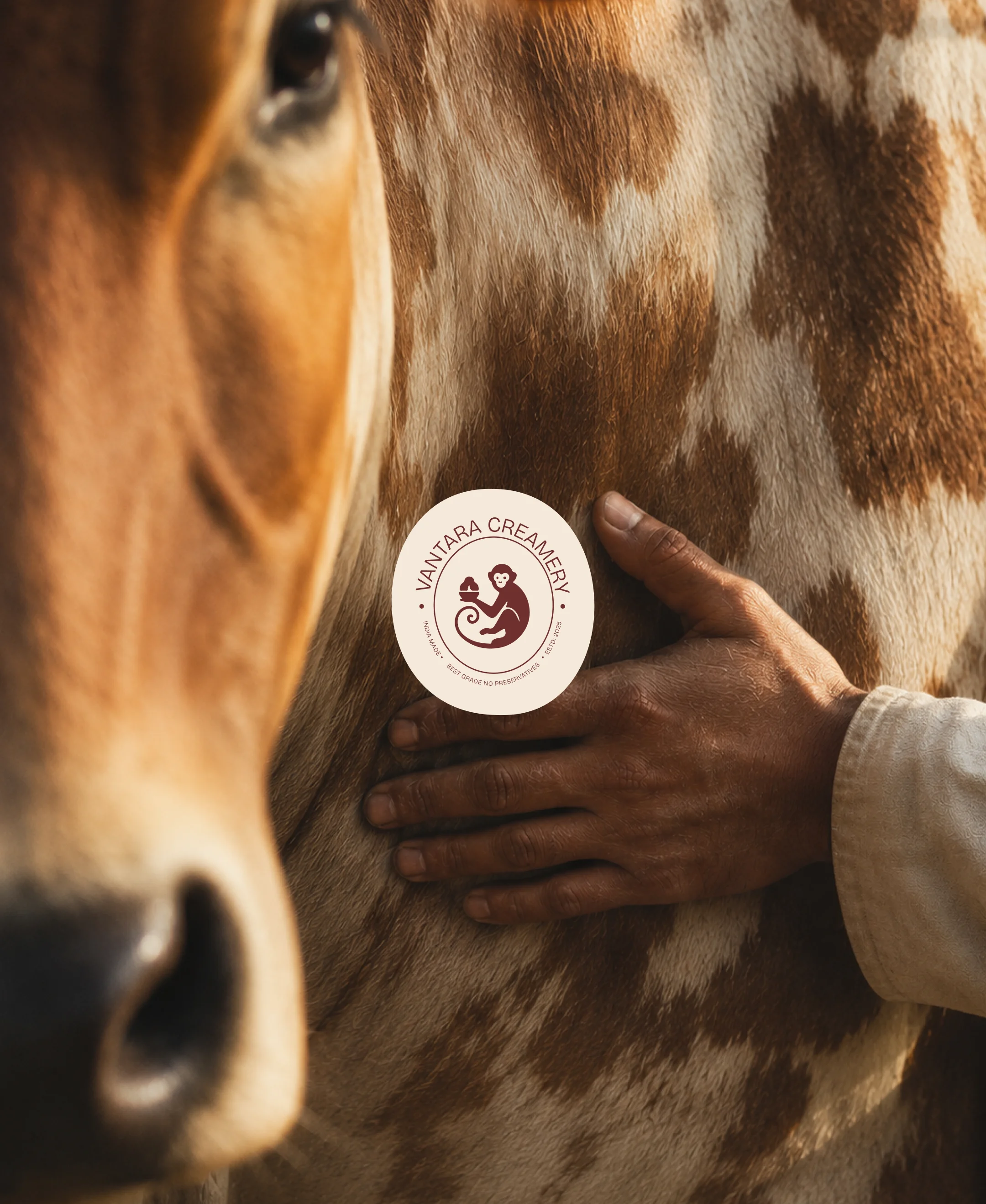 Hand on Vantara cow
